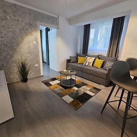 Mona Central Apartment Hunedoara Exterior photo