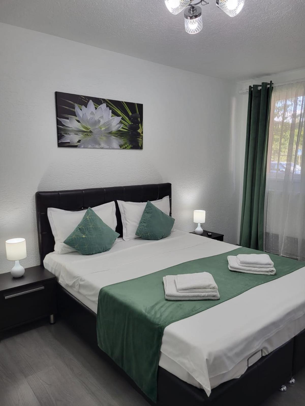 Mona Central Apartment Hunedoara Exterior photo