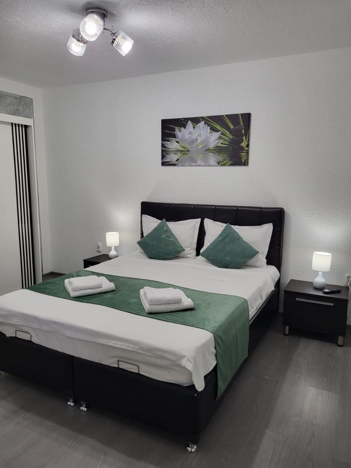 Mona Central Apartment Hunedoara Exterior photo