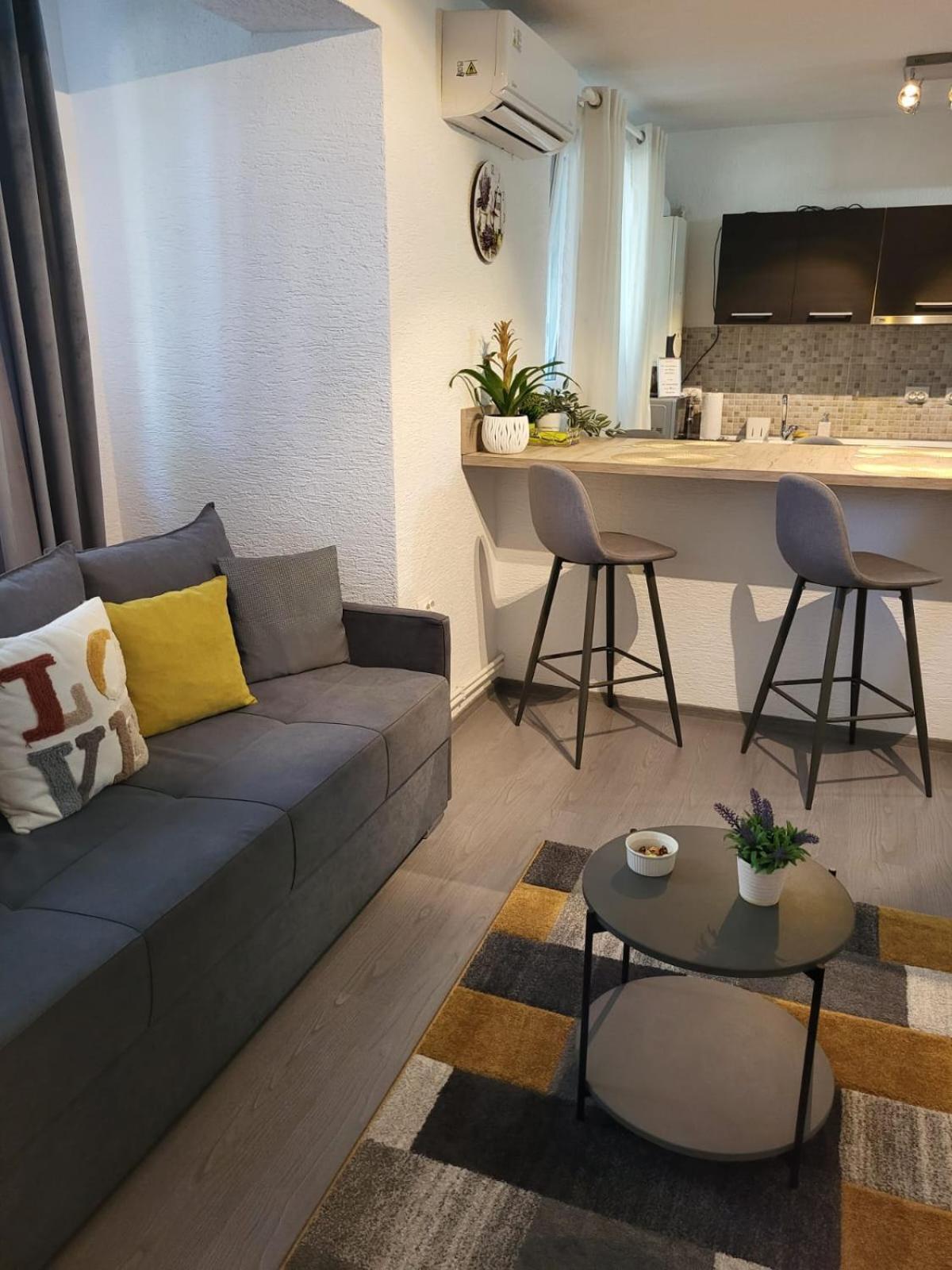 Mona Central Apartment Hunedoara Exterior photo