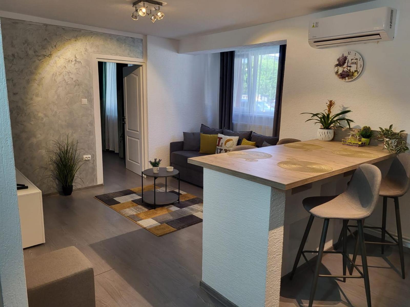 Mona Central Apartment Hunedoara Exterior photo